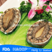 Precio de fábrica 100% natural congelado abalone precio